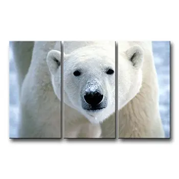3 Gabalas Sienos Meno Tapybos Polar Bear Veido Rodyti Spausdinama Ant Drobės, Nuotraukos Gyvūnų Nuotraukų Lašas laivybos