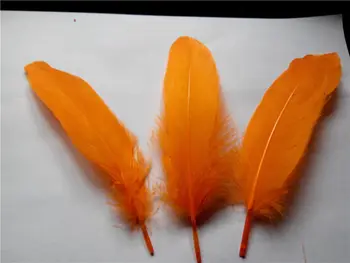 Aqua Žąsų Plunksnų,100vnt/daug - oranžinė Žąsų Satinettes Palaidų plunksnų,žąsų amatų plunksnos,10-18cm ilgio,