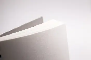 Popieriaus sausas technikas 