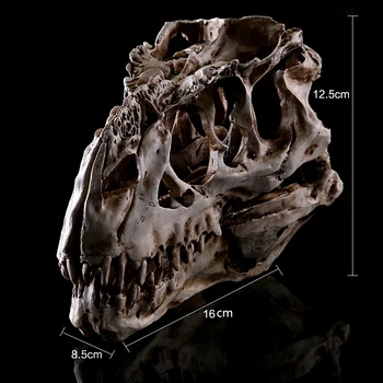 Tyrannosaurus Kaukolė Derva Modelis Senovės Padaras Dinozaurų Skeletas Galvos Statulėlės Skulptūra Amatų Namuose Statulos Apdailos Dovana