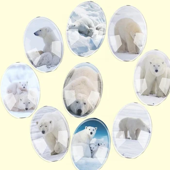 Rankų darbo Stiklo Derinys Dydžio, Ovalios, Polar bear Flatback Kamėja Cabochon kupolo formos 