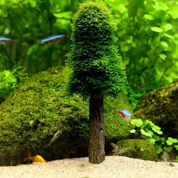 Akvariumas Modeliavimas Moss Kalėdų Eglutė Augalų Auga Žuvų Bakas Puošimas Ornamentais